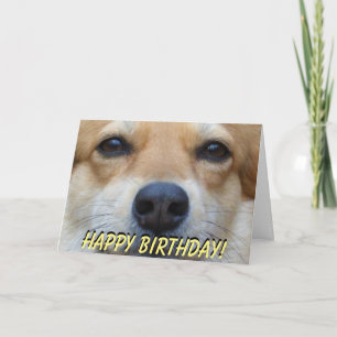Cartão Cute corgi birthday card
