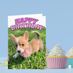 Cartão Cute Corgi Puppy Birthday Card