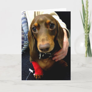 Cartão Cute Dachshund get well soon card