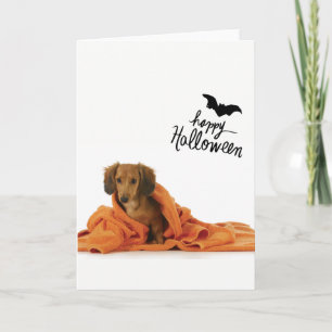 Cartão Cute Dachshund puppy in orange blanket Halloween