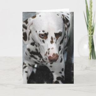 Cartão Cute Dalmatian Greeting Cards