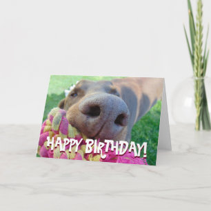 Cartão Cute doberman birthday card
