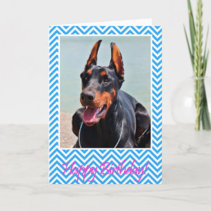Cartão Cute Doberman Pinscher dog Happy Birthday Card