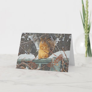 CARTÃO "CUTE, FURRY SQUIRREL" BLANK GREETING CARD