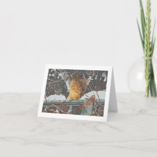 CARTÃO "CUTE FURRY SQUIRREL ON SNOWY FENCE"/ DIG.MANIP.