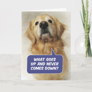 Cartão Cute Golden Retriever Funny Birthday Riddle