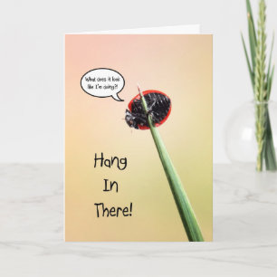 Cartão Cute Hang In There Ladybug