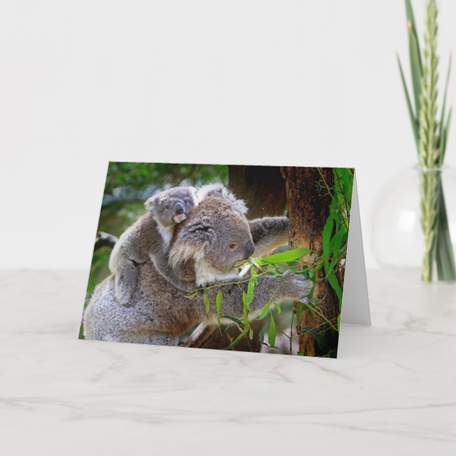 Cartão Cute Koalas (Frente)
