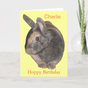 Cartão Cute Rabbit Birthday Card