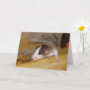 Cartão Cute Rat