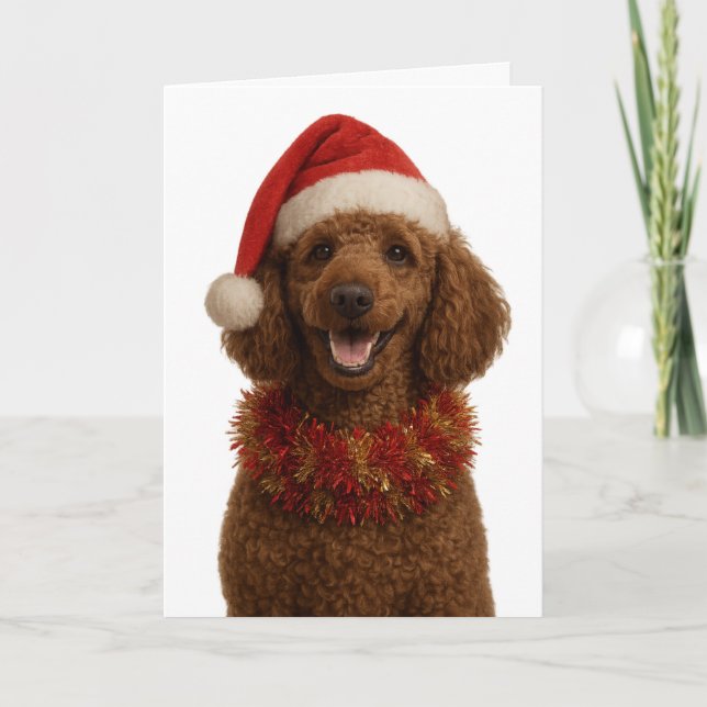 Cartão Cute red / brown Poodle Christmas card (Frente)