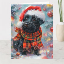 Cute Scottish Terrier em Santa Hat e Scarf