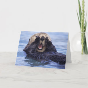 Cartão Cute Sea Otter Alaska, USA
