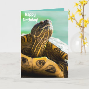 Cartão Cute Turtle Happy Birthday Card