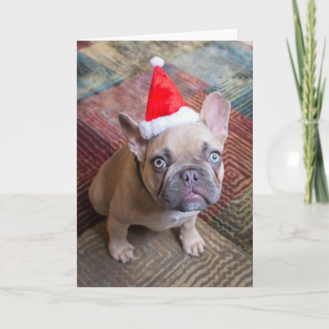 Cartão Cutest Baby Animals | French Bulldog Christmas (Frente)