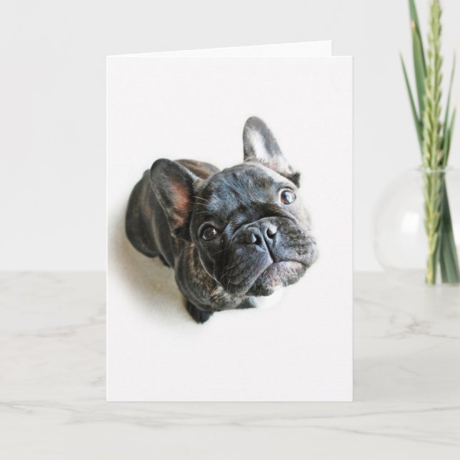 Cartão Cutest Baby Animals | French Bulldog Look Up (Frente)