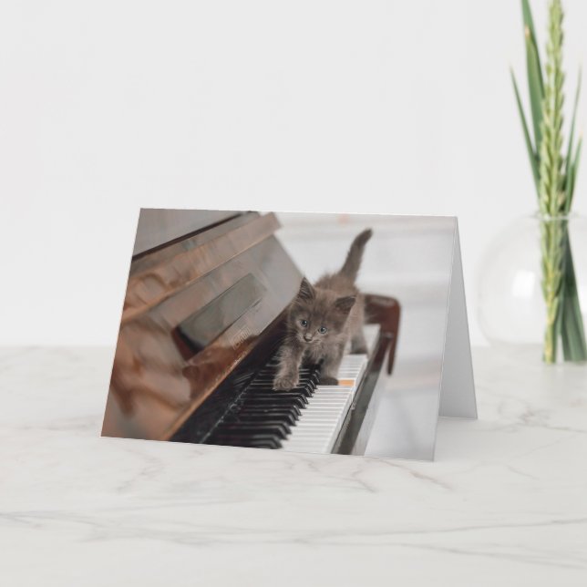 Cartão Cutest Baby Animals | Kitten on Piano (Frente)