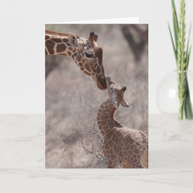 Cartão Cutest Baby Animals | Mother and Baby Giraffe (Frente)