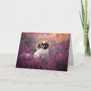 Cartão Cutest Baby Animals Pekingese Puppy