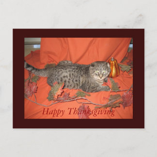 Cartão da acção de graças