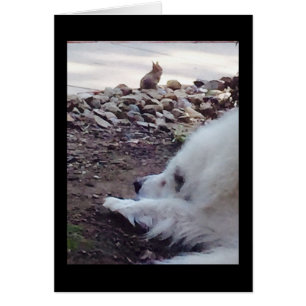 Cartão da aceitação