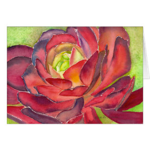 Cartão da aguarela do Aeonium por Debra Lee