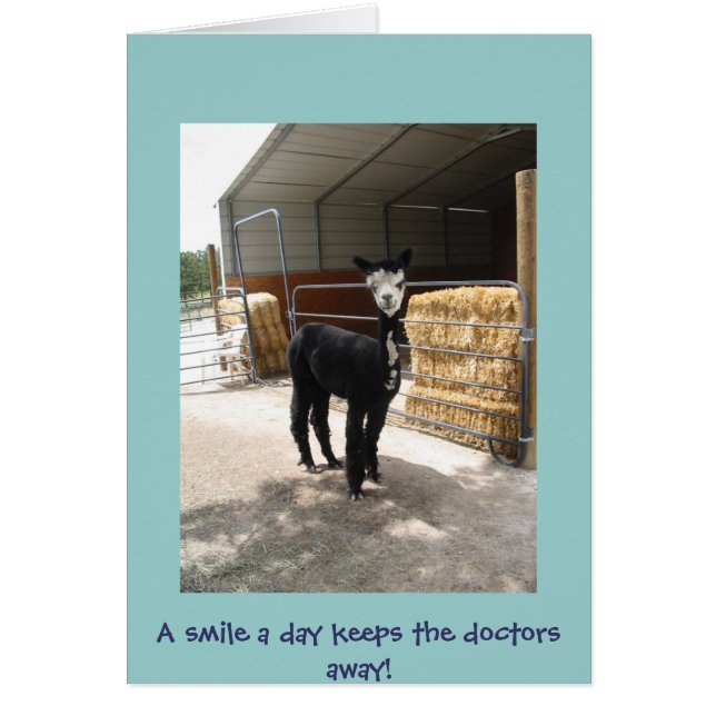 cartão da alpaca (Frente)