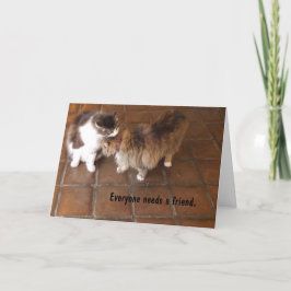 Cartão da amizade, gatos da adega da garganta do