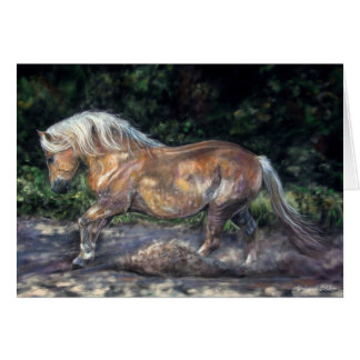 Cartão da arte da brisa da noite