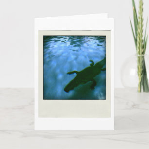 Cartão da arte de computador da piscina 05b06 3d
