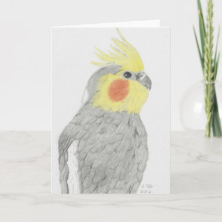 Cartão da arte do Cockatiel