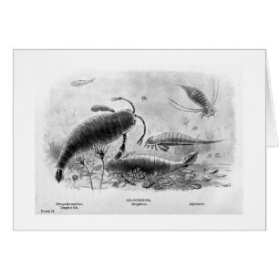 cartão da arte dos Mar-escorpião