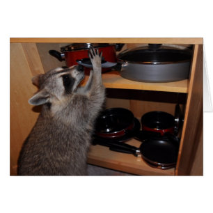 cartão da bandeja da estola