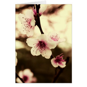 Cartão da beleza de primavera natural