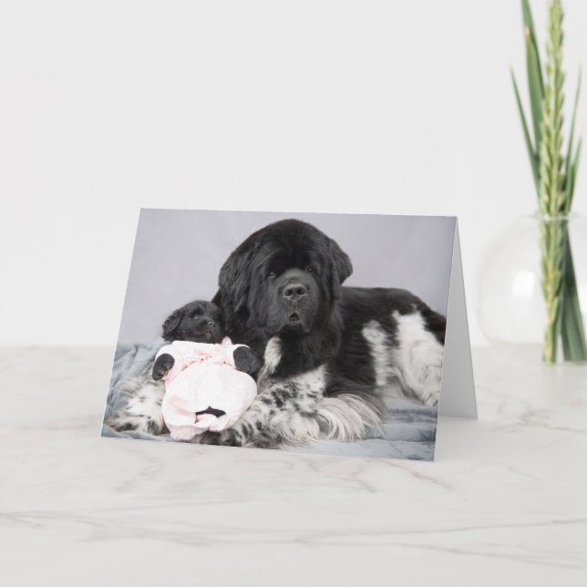 Cartão da boa vinda do urso de Notta (Frente)