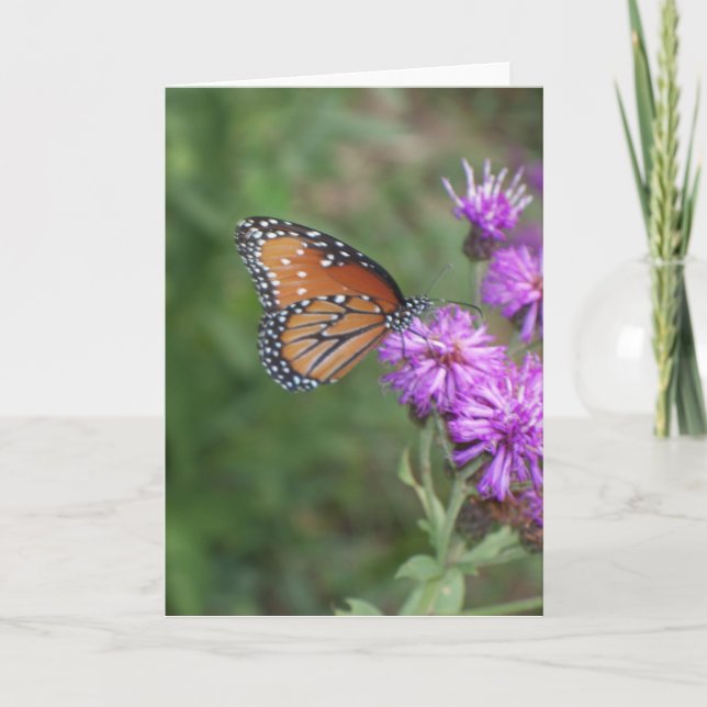 Cartão da borboleta e do Wildflower (Frente)