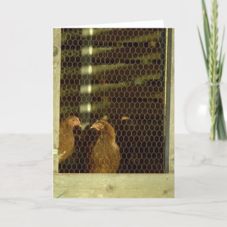 Cartão da capoeira de galinha