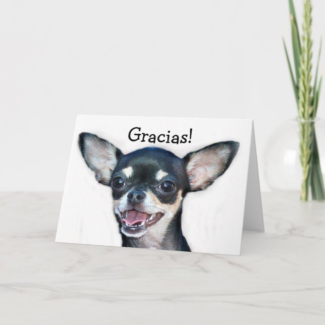 Cartão da chihuahua de Gracias (Frente)