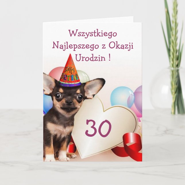 Cartão da chihuahua do aniversário de Wszystkiego (Frente)