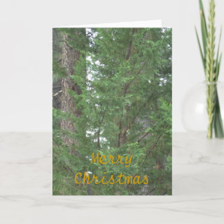 Cartão da coleção do Natal de Lake Tahoe