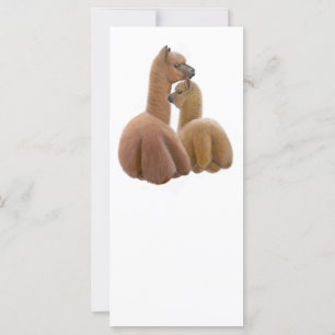 Cartão da cremalheira dos amigos da alpaca