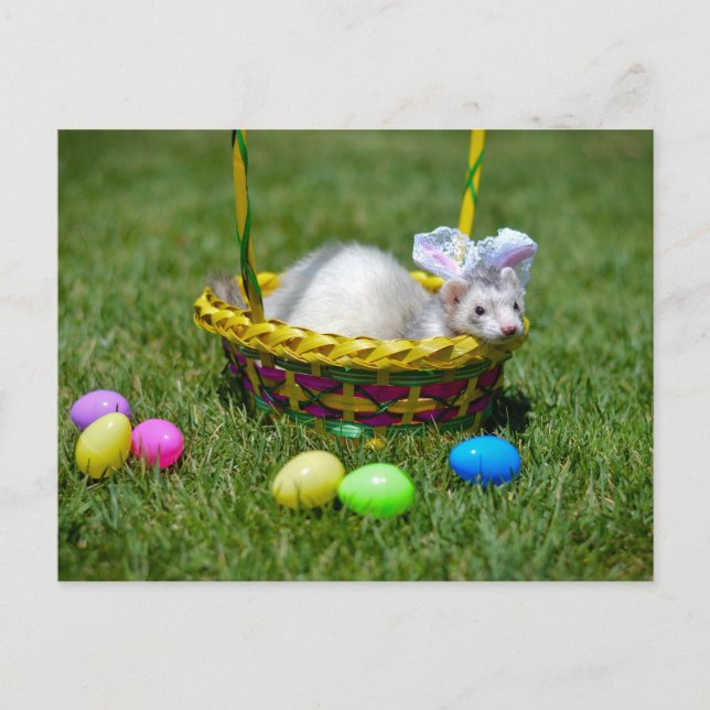 Cartão da doninha da páscoa (Frente)