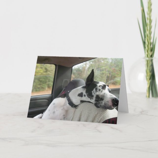 Cartão da escavadora (Frente)