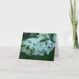 Cartão da flor do Hydrangea da folha do carvalho