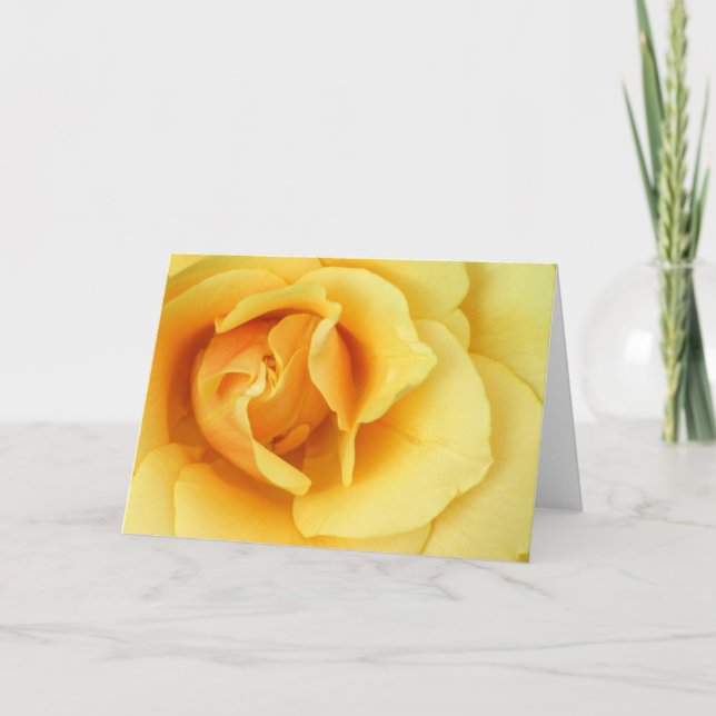 Cartão da flor do rosa amarelo (Frente)