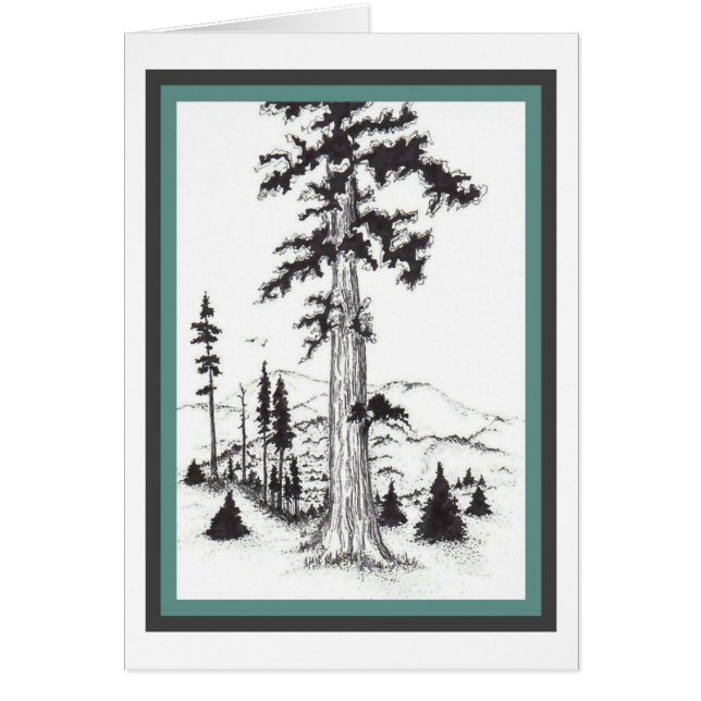 Cartão da floresta (Frente)