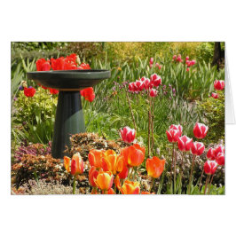 Cartão da fonte da tulipa