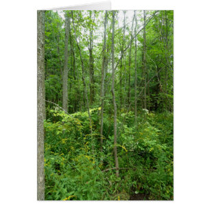 Cartão Da "foto do país casa de campo"