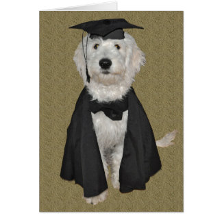 Cartão da graduação de Goldendoodle