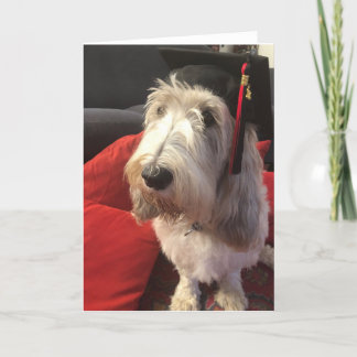 Cartão da graduação do cão